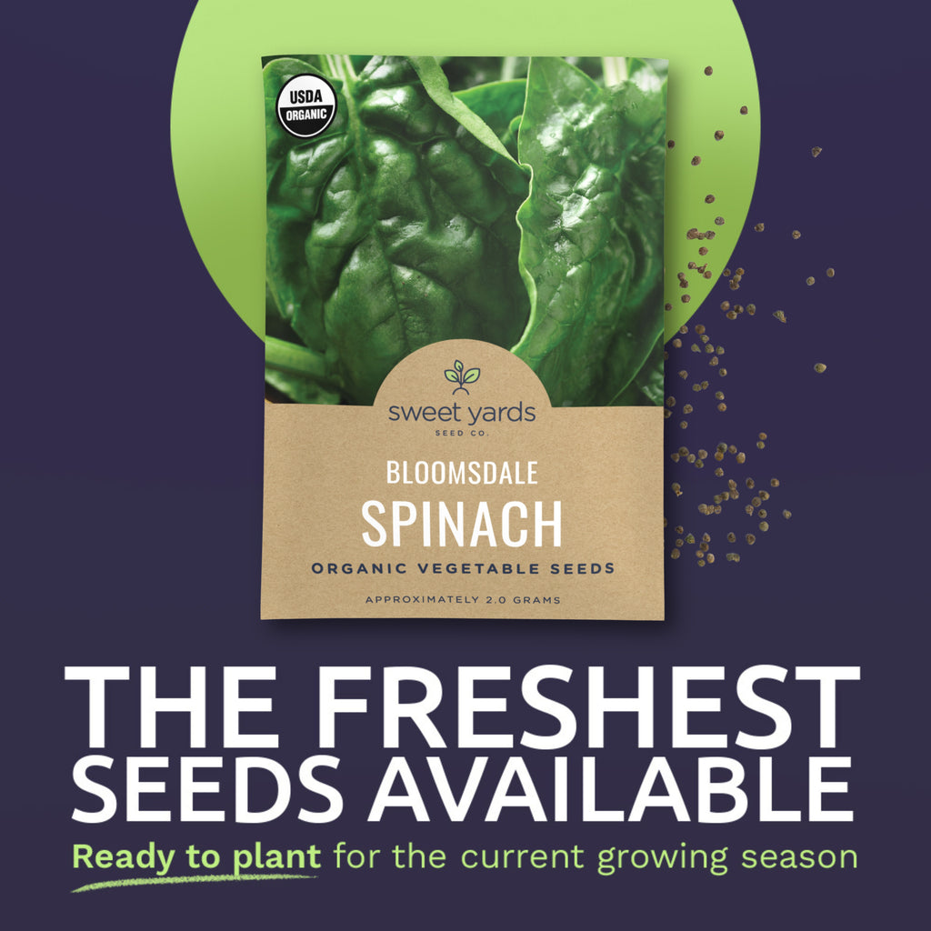 Organic Bloomsdale Spinach