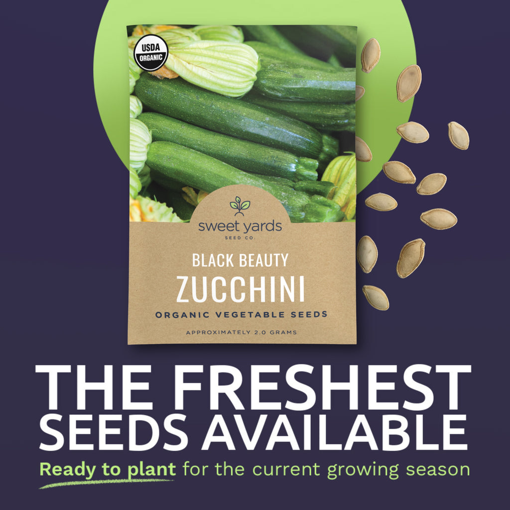 Organic Black Beauty Zuchinni