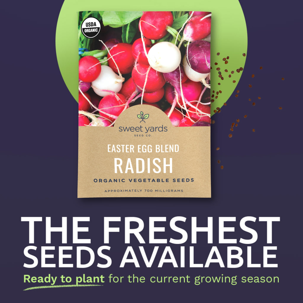 Organic Easter Egg Radish Blend