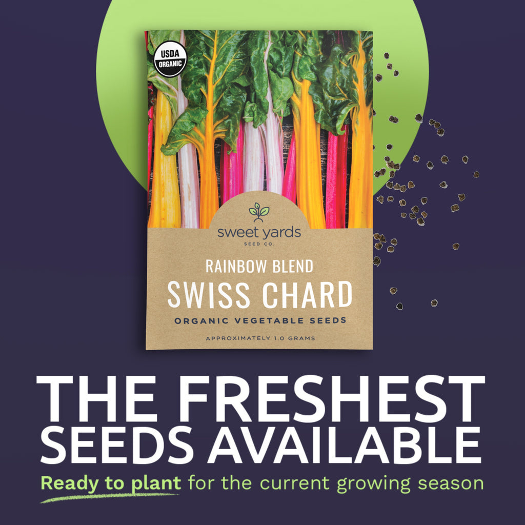 Organic Rainbow Blend Swiss Chard