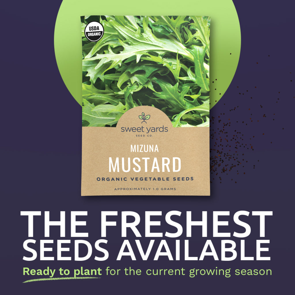 Organic Mizuna Mustard