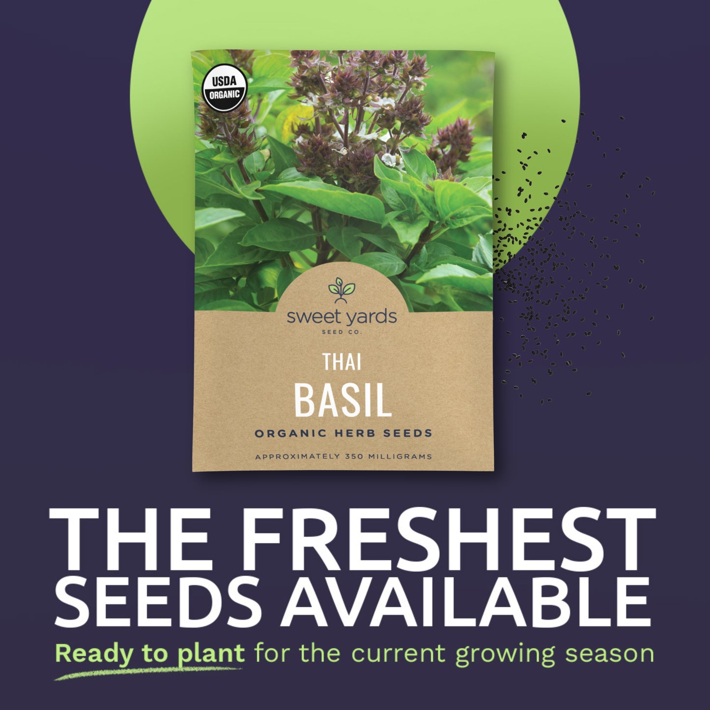 basil flower seeds Organic Thai Basil Seeds – Sweet Yards