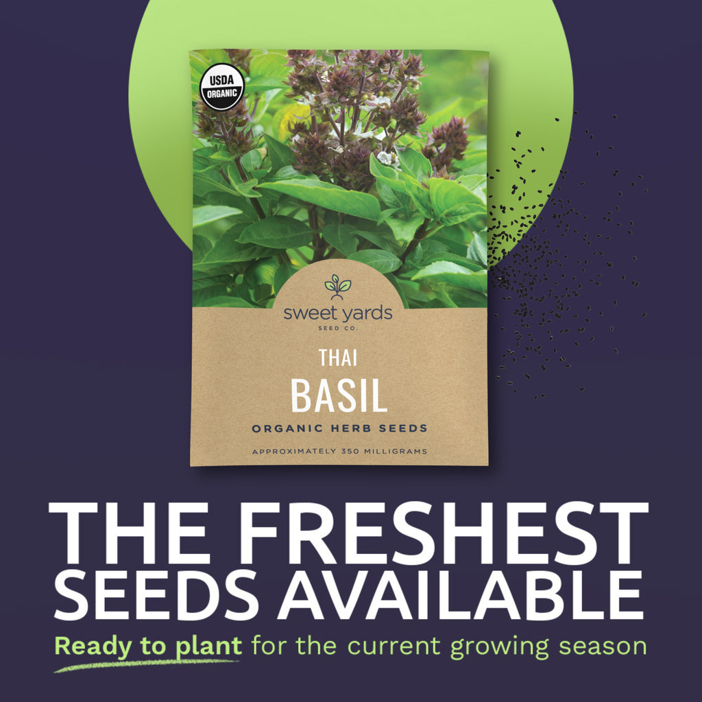 Organic Thai Basil