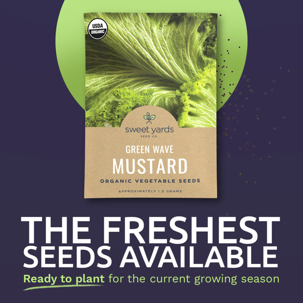 Organic Green Wave Mustard