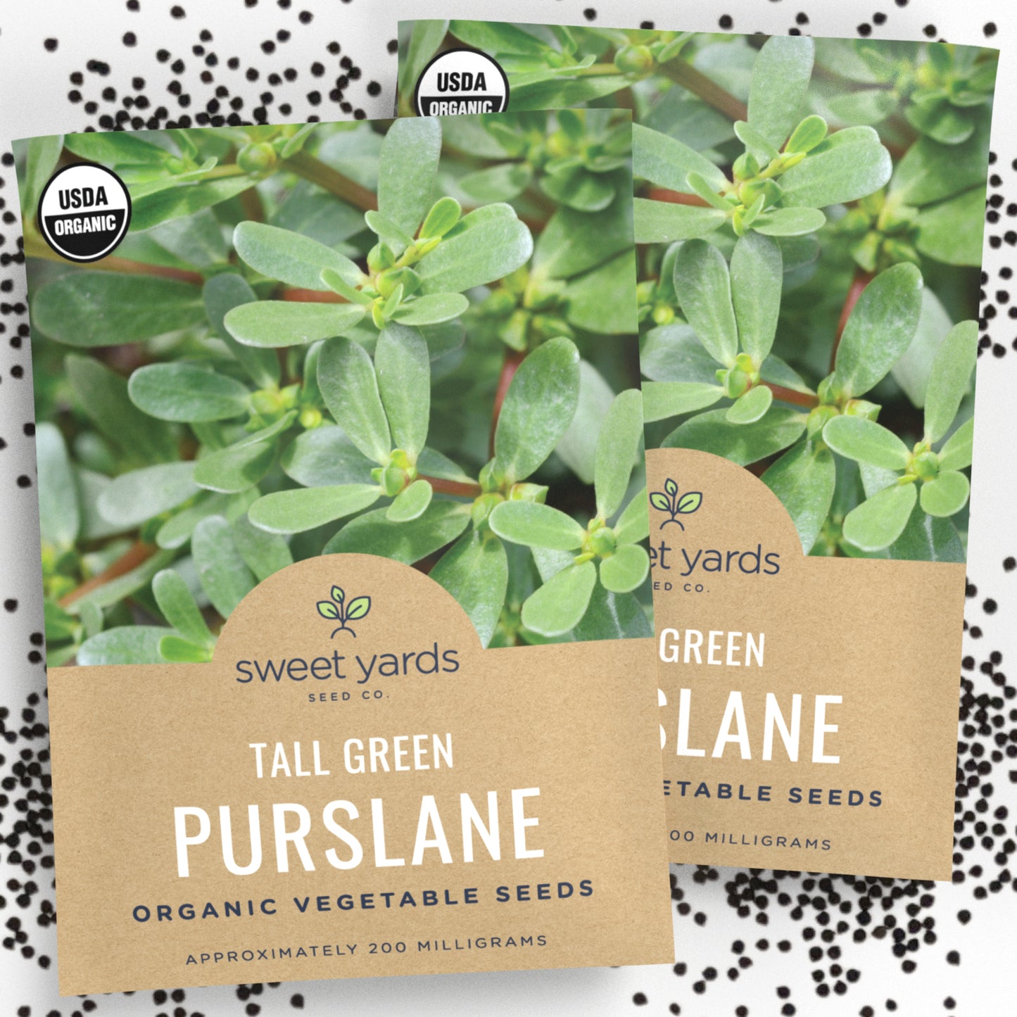 Organic Tall Green Purslane Seeds  Sweet Yards