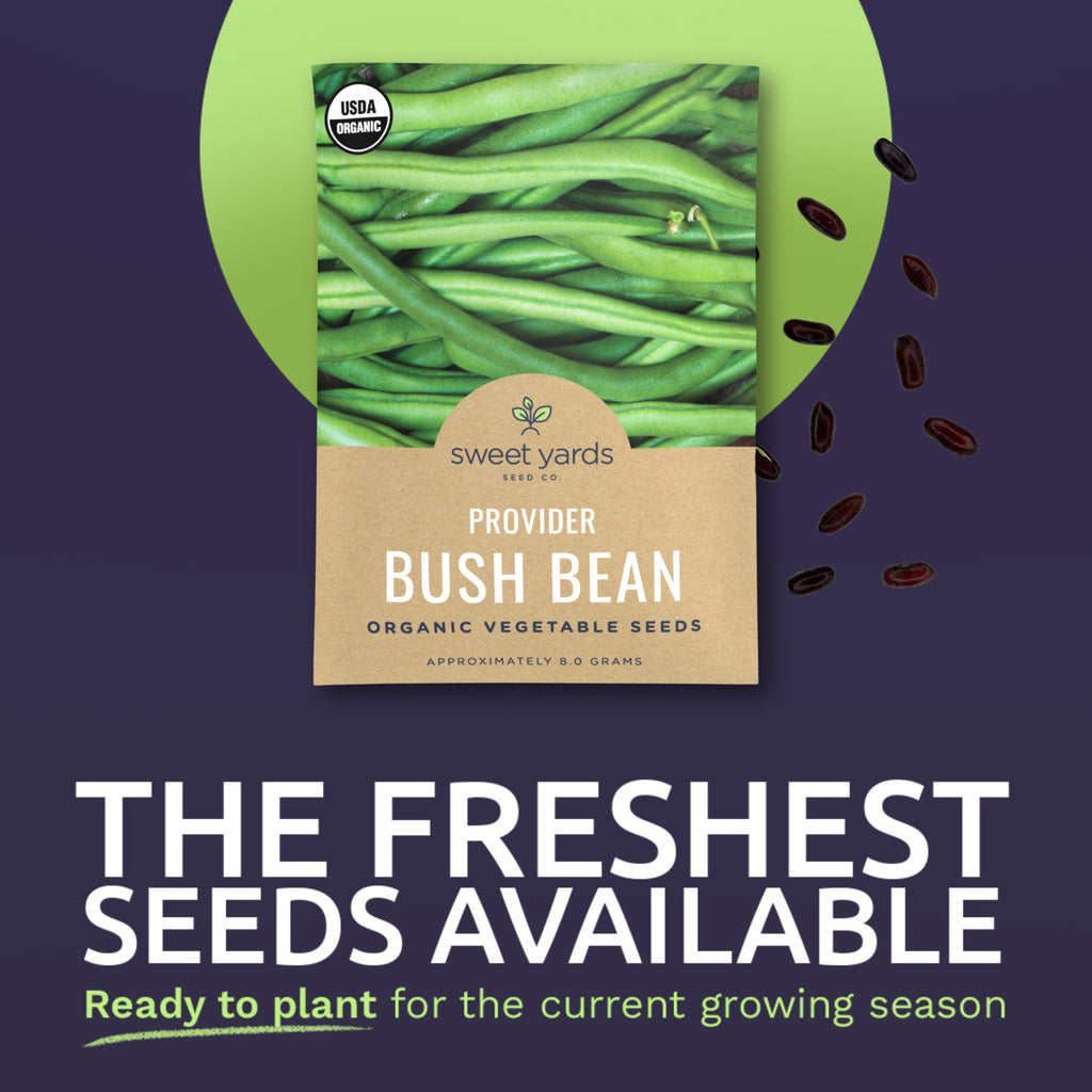 Organic Provider Bush Bean