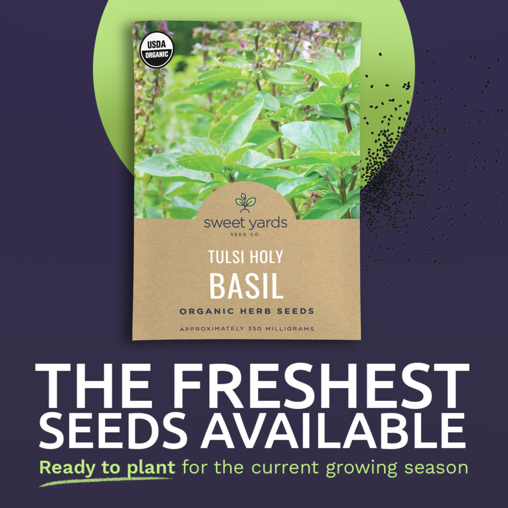 Organic Tulsi Basil