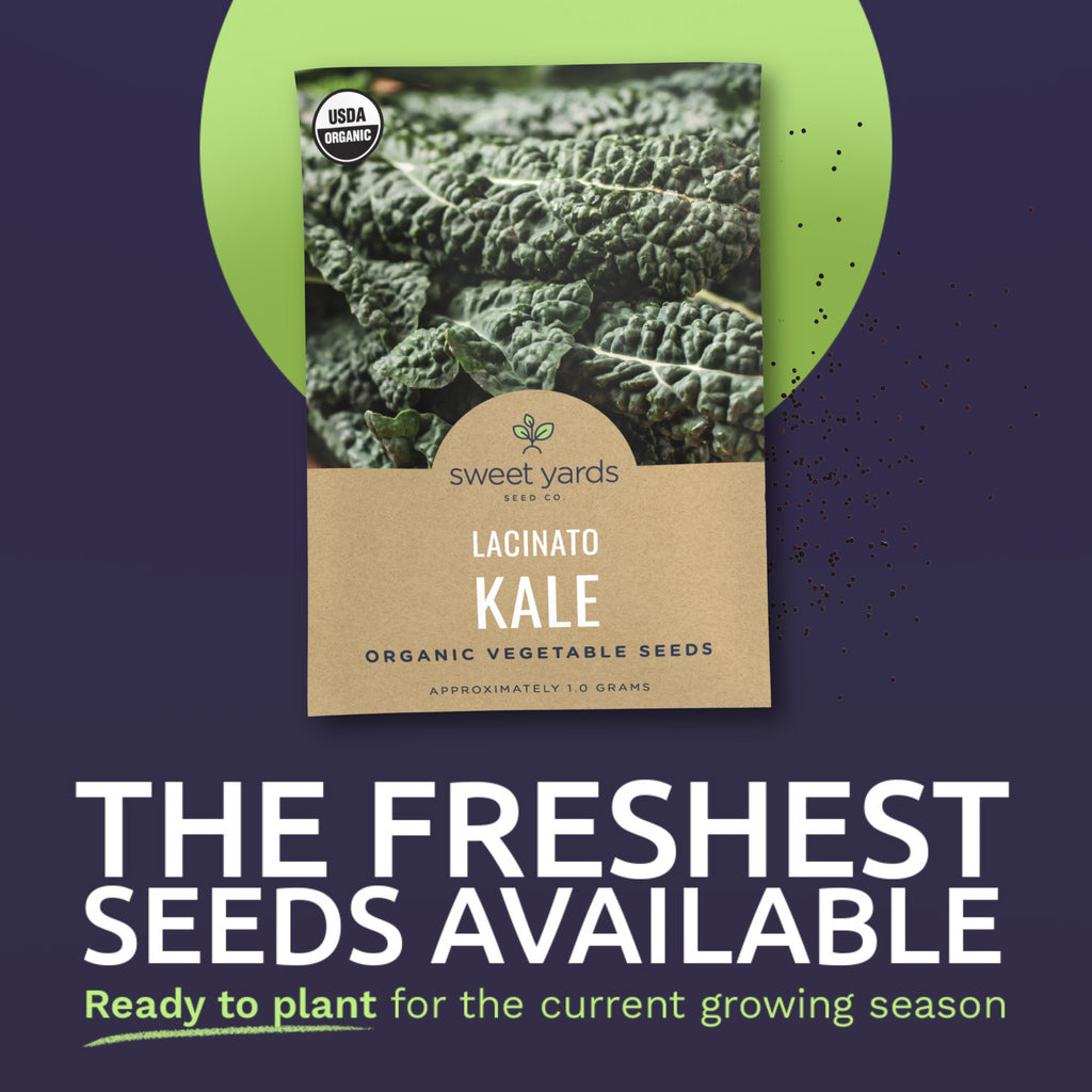 Organic Lacinato Kale