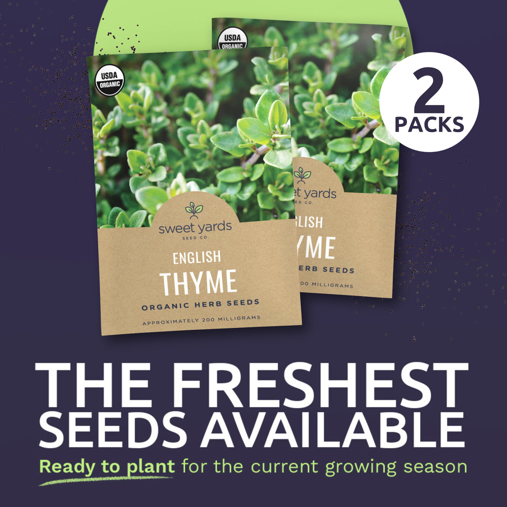 Organic English Thyme