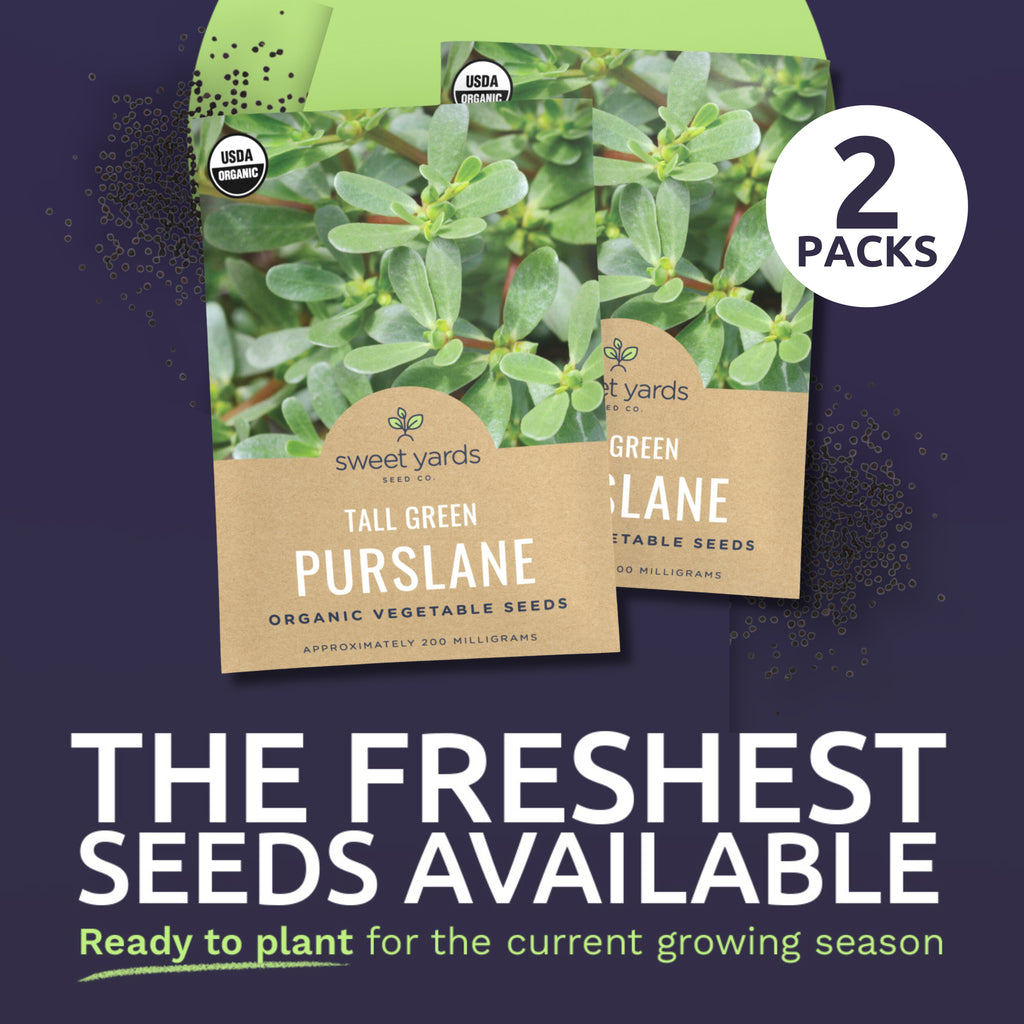 Organic Tall Green Purslane