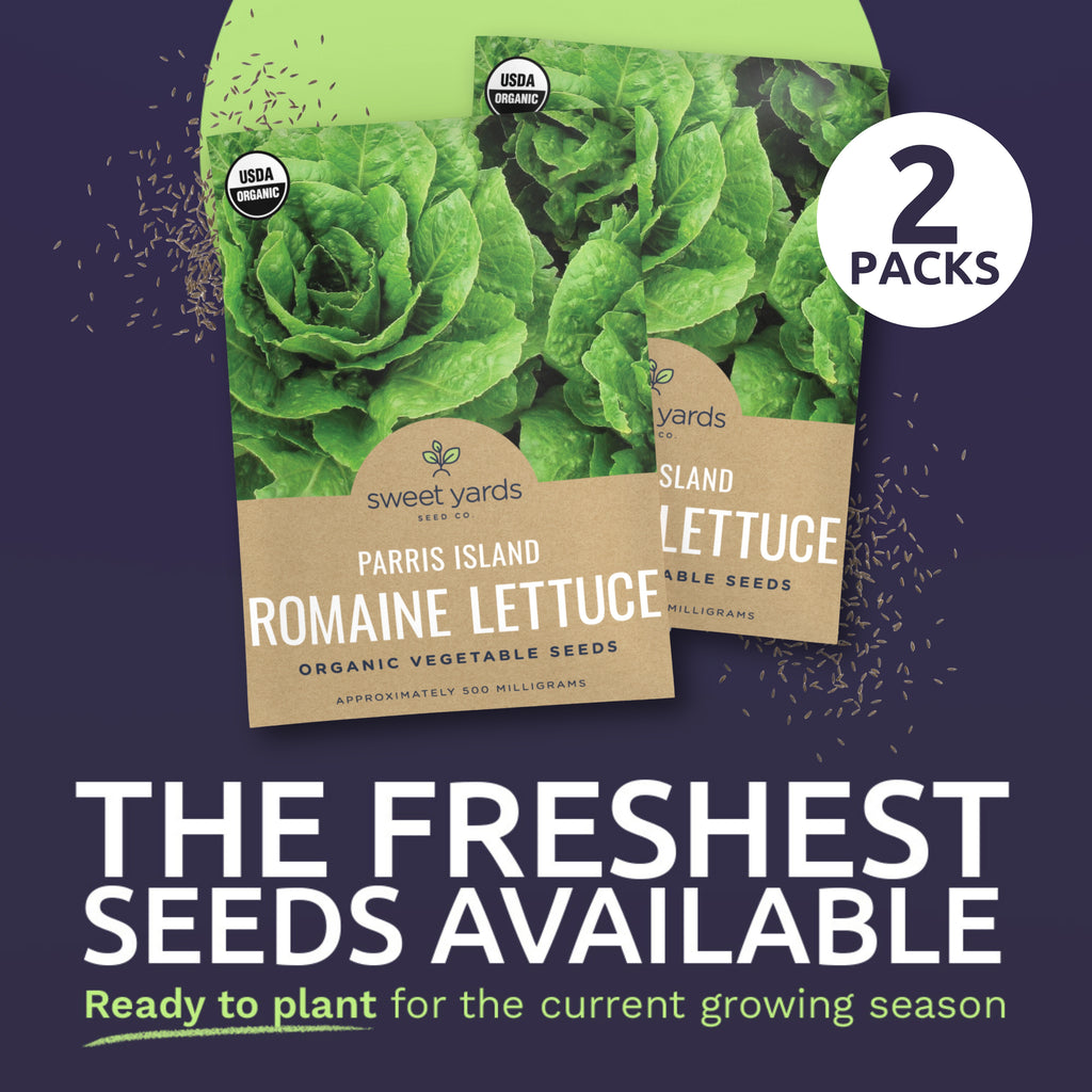 Organic Parris Island Romaine Lettuce