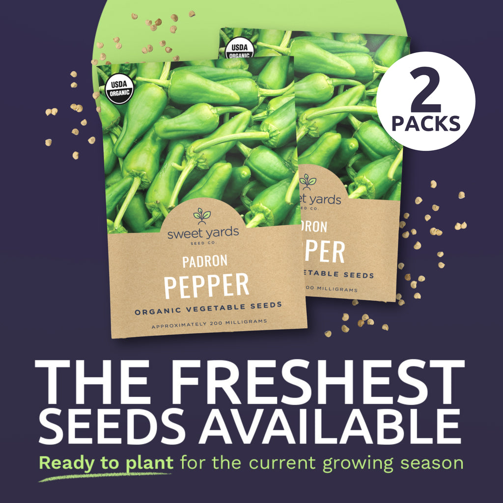 Organic Padron Pepper Seeds