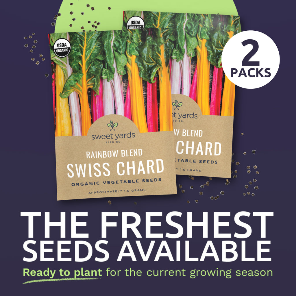 Organic Rainbow Blend Swiss Chard