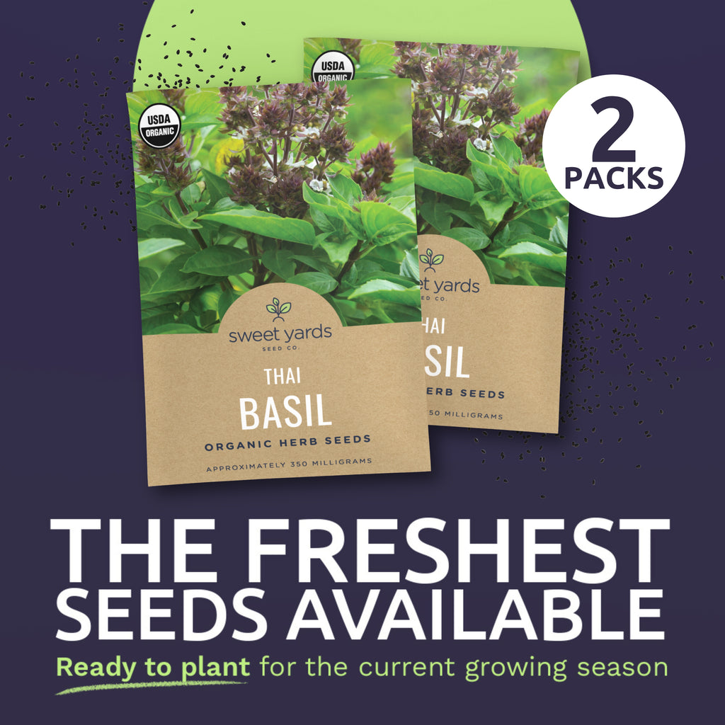 Organic Thai Basil