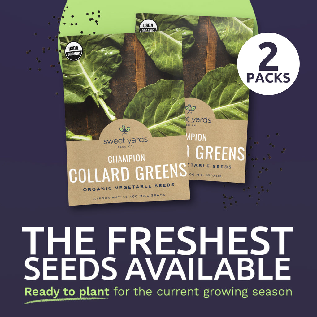 Organic Champion Collard Greens