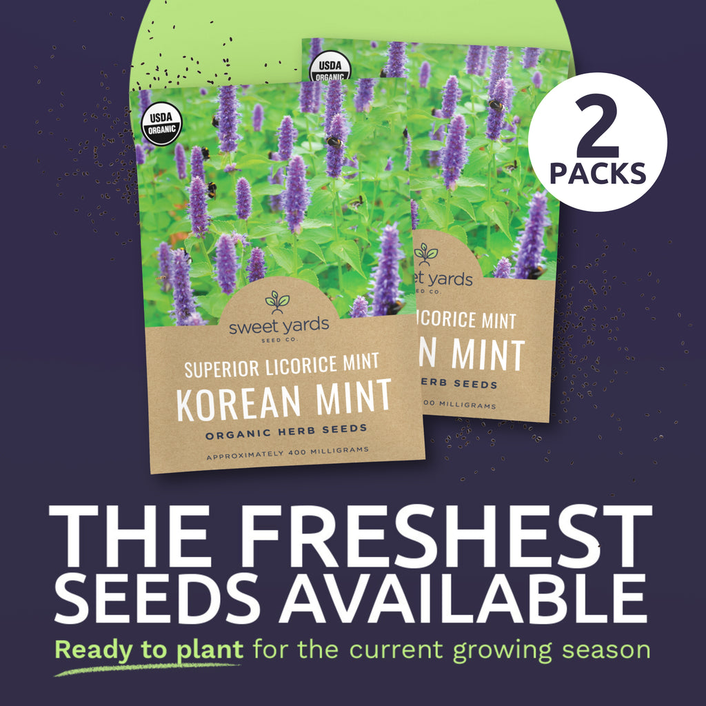 Organic Superior Licorice Korean Mint