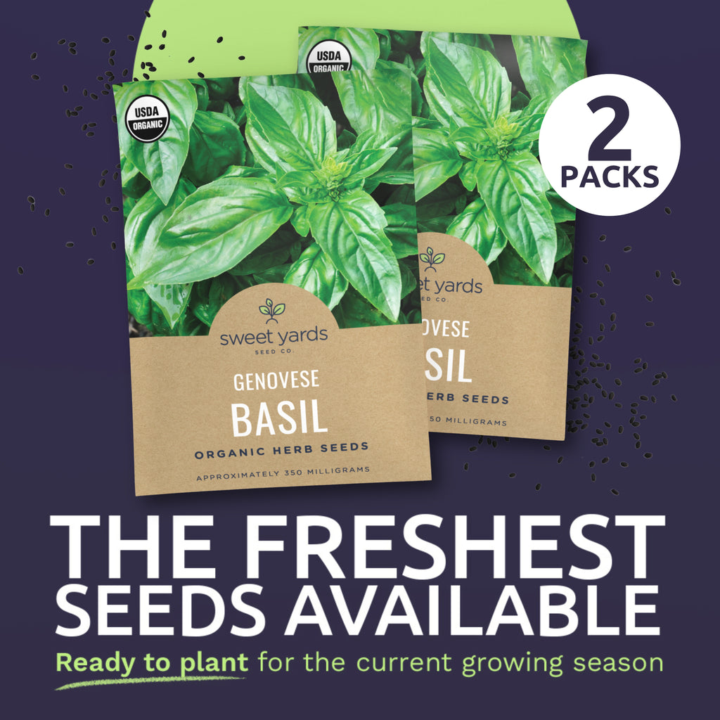 Organic Genovese Basil