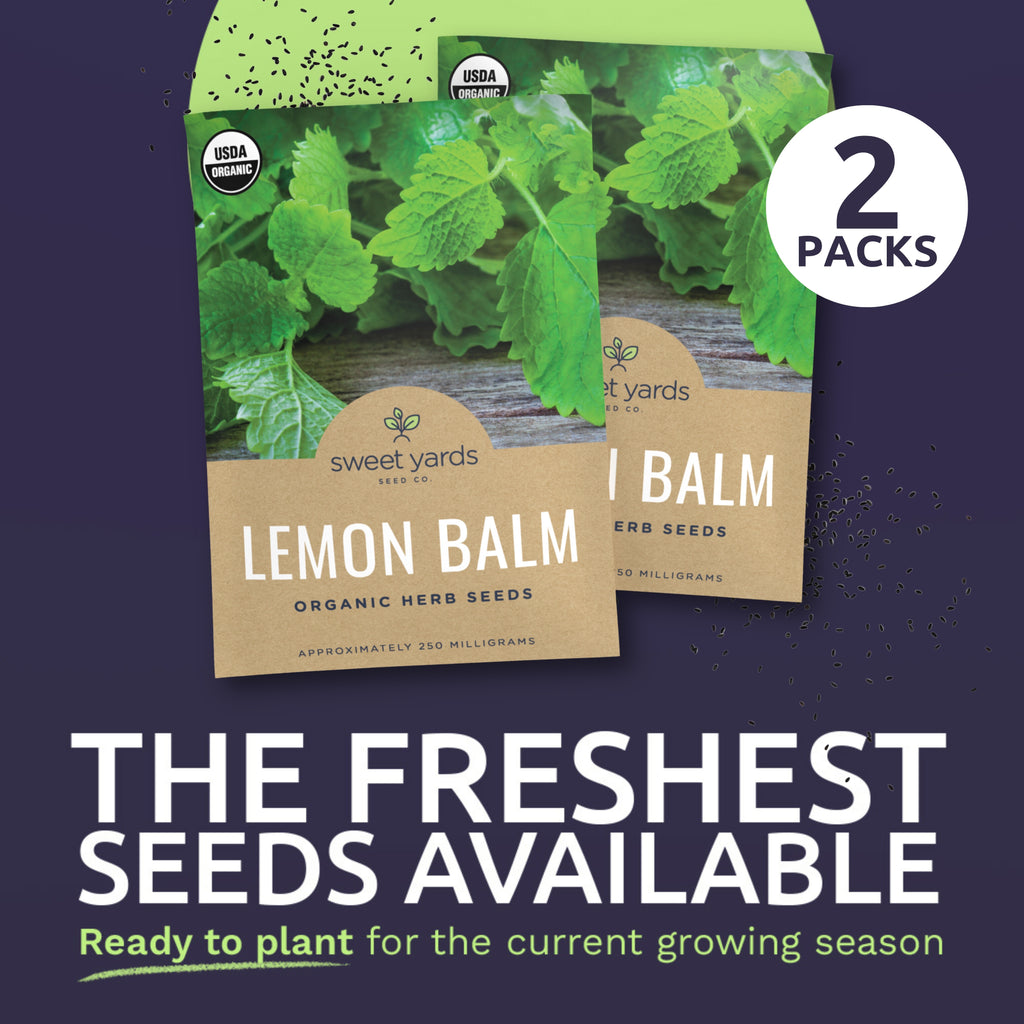 Organic Lemon Balm