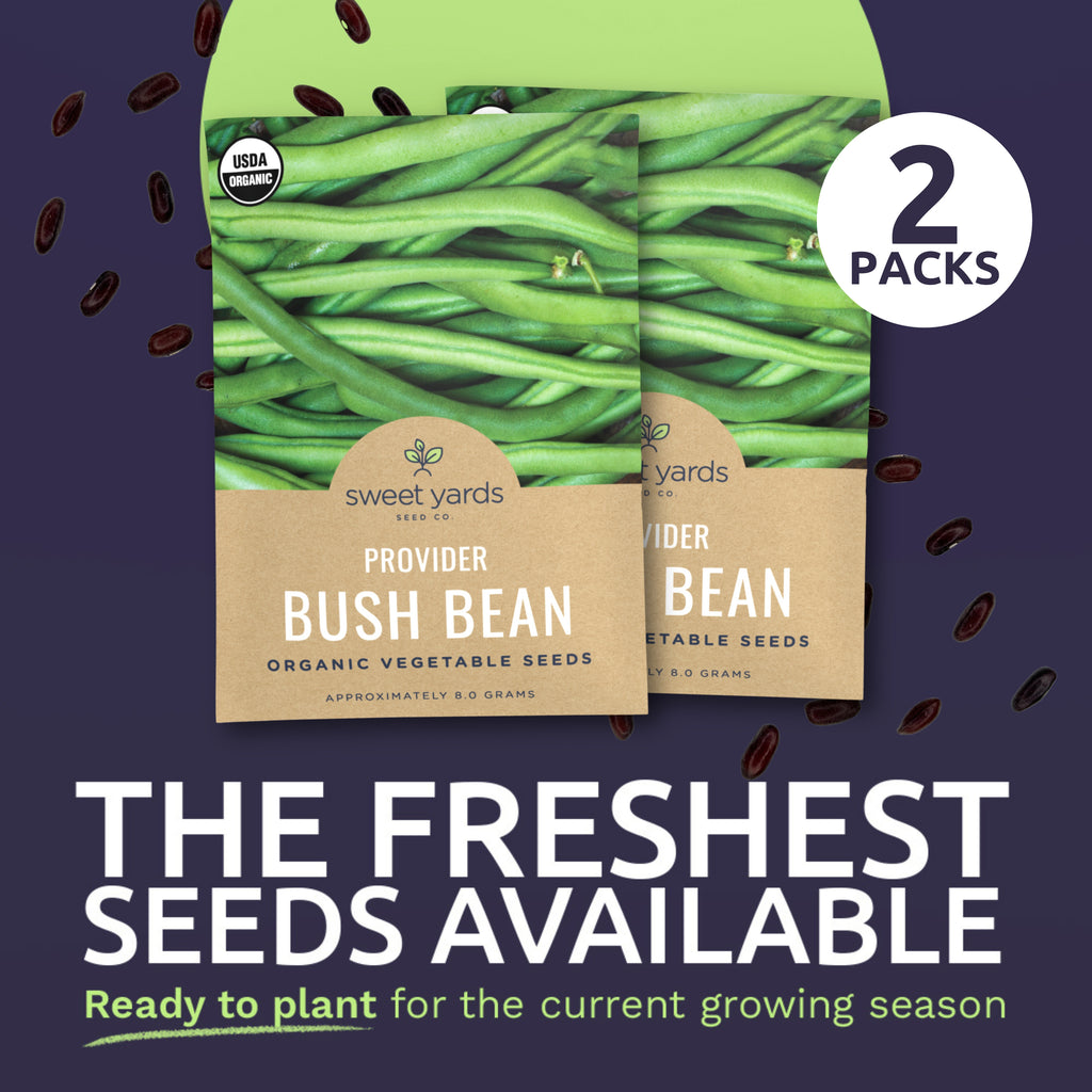 Organic Provider Bush Bean