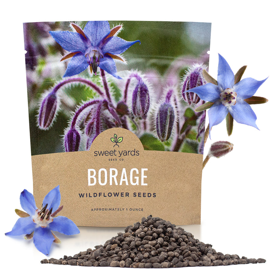 Borage Seeds