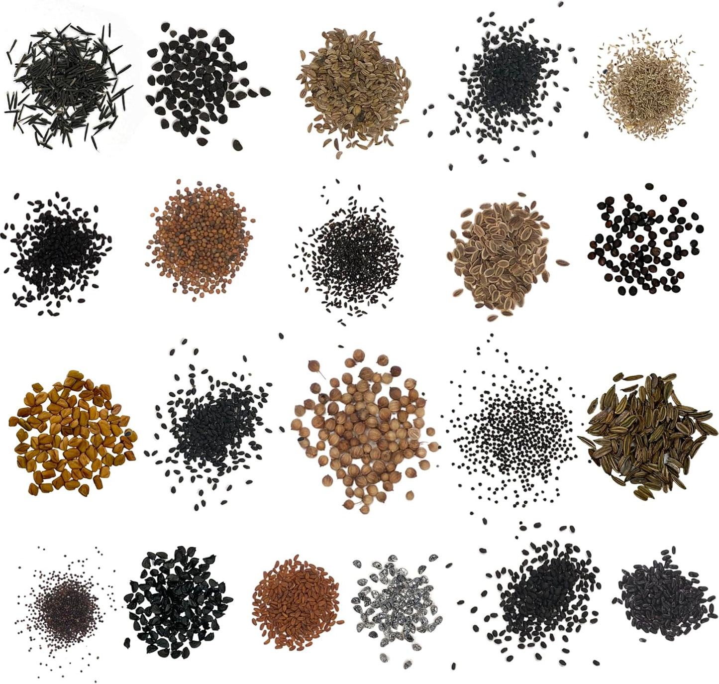 Organic Herb Seeds Variety Pack - 35 Individual Packs