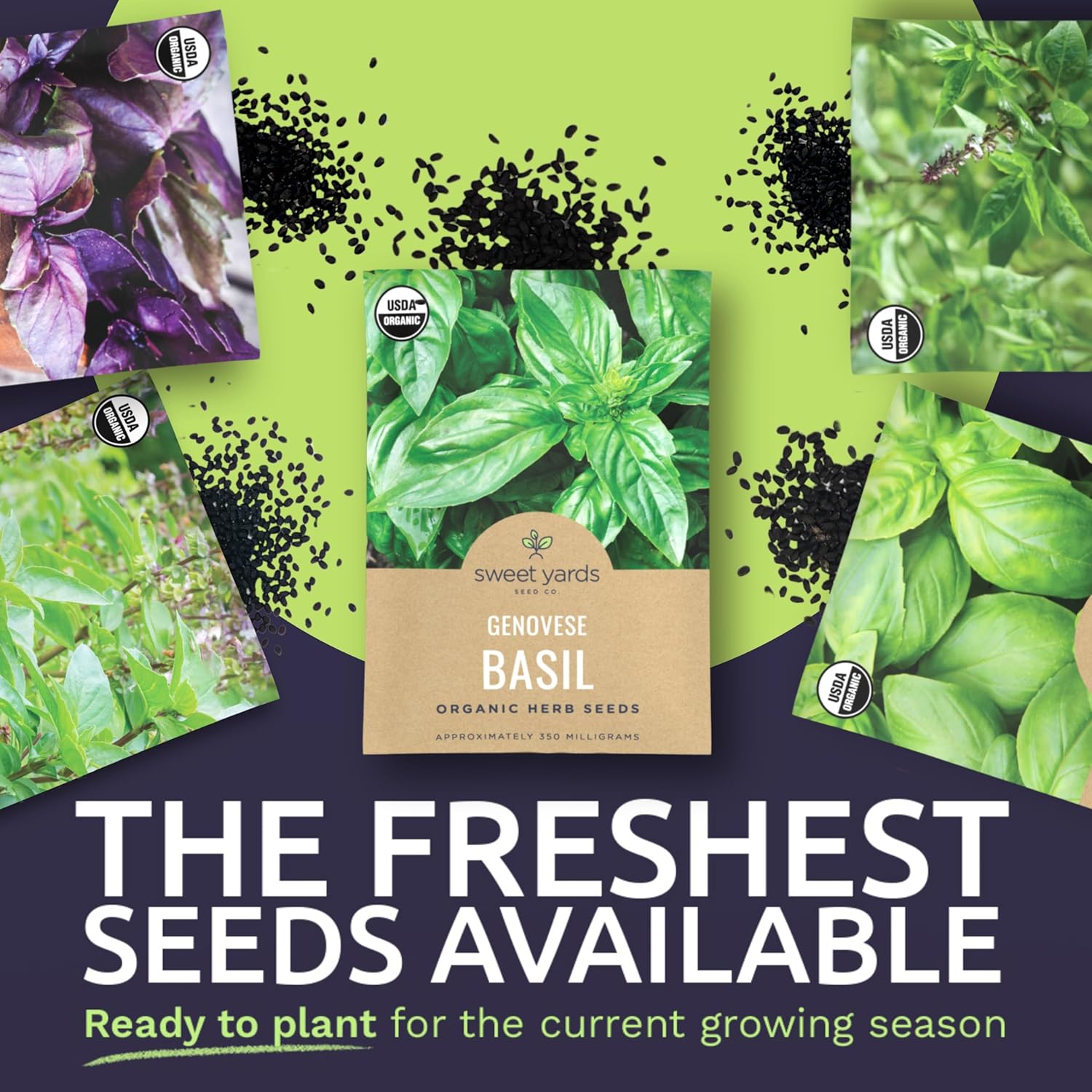 organic basil seeds for planting Organic Basil Seeds Variety Pack