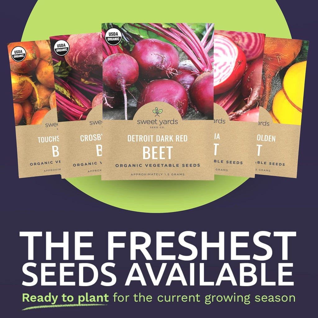 Organic Beet Seeds Variety Pack - 6 Individual Packs
