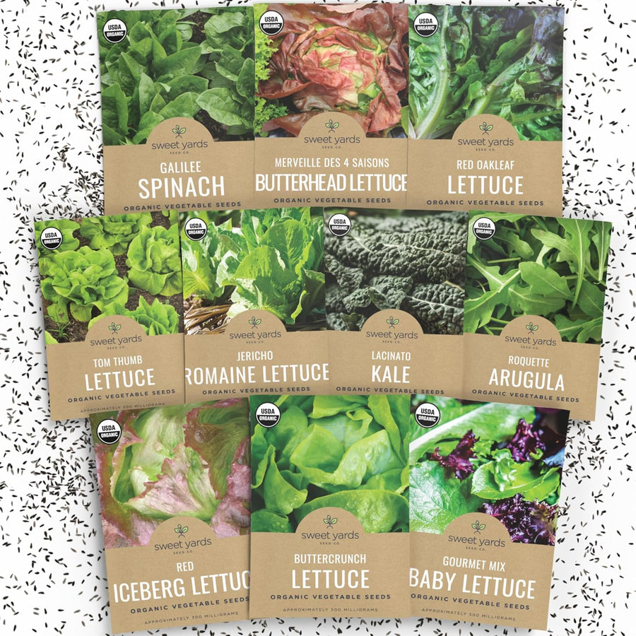 Organic Lettuce & Greens Seeds Variety Pack - 10 Individual Packs