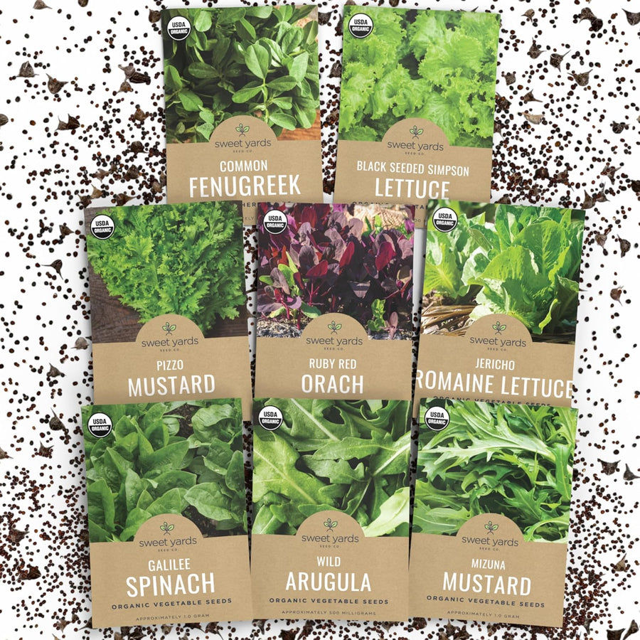 Organic Heat Tolerant Lettuce Seeds Variety Pack - 8 Individual Packs