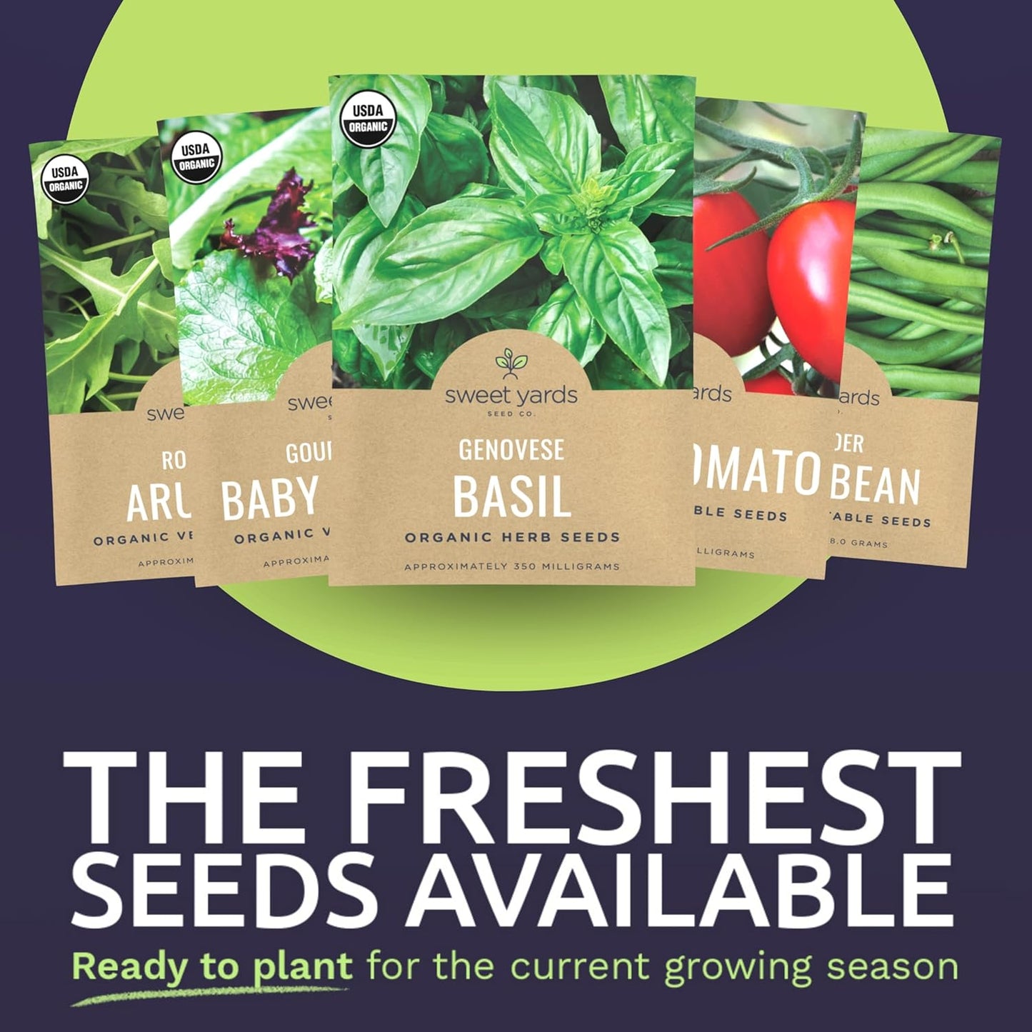 Organic Container Garden Seeds Variety Pack - 10 Individual Packs
