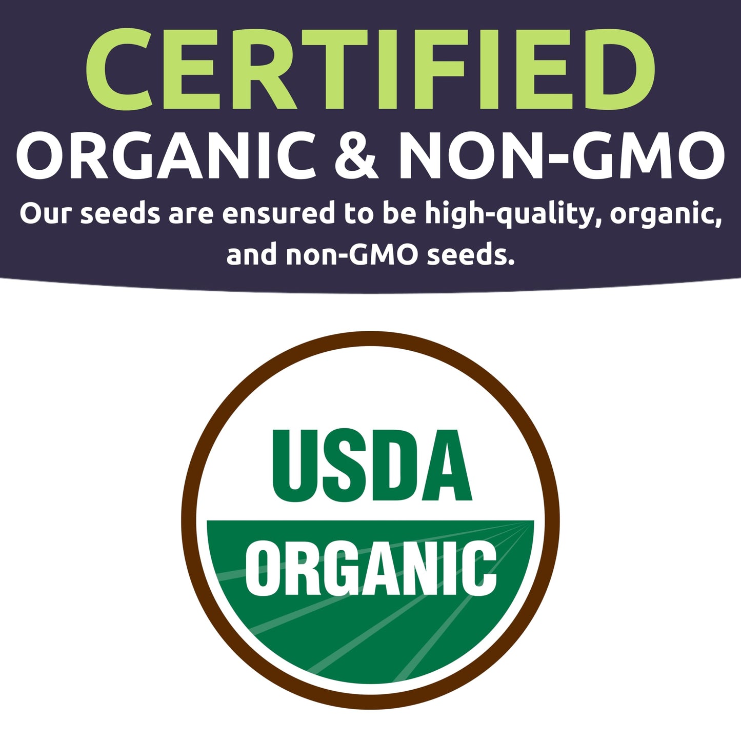 Organic Seeds Essential Variety Pack - 10 Individual Packs