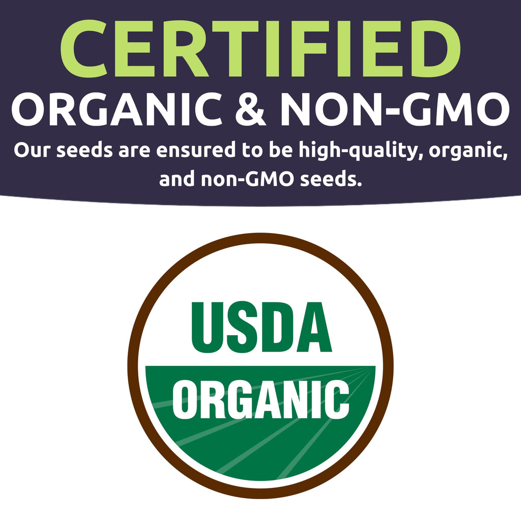 Organic Seeds Essential Variety Pack - 10 Individual Packs