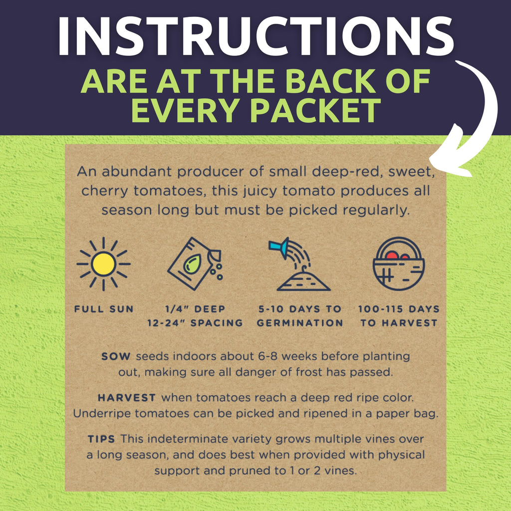 Organic Seeds Essential Variety Pack - 10 Individual Packs