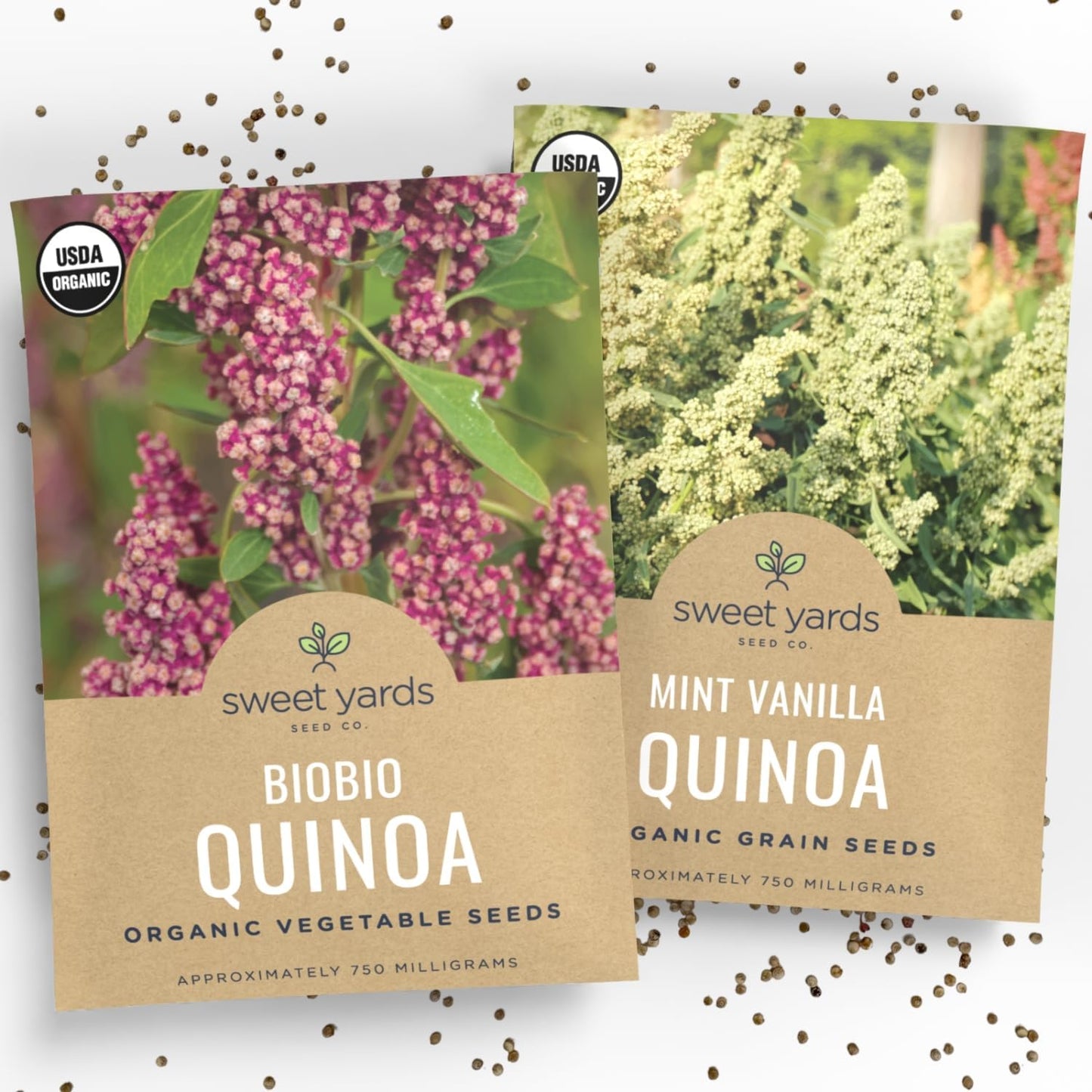 Organic Quinoa Seeds Home Garden Variety Pack - 2 Packets