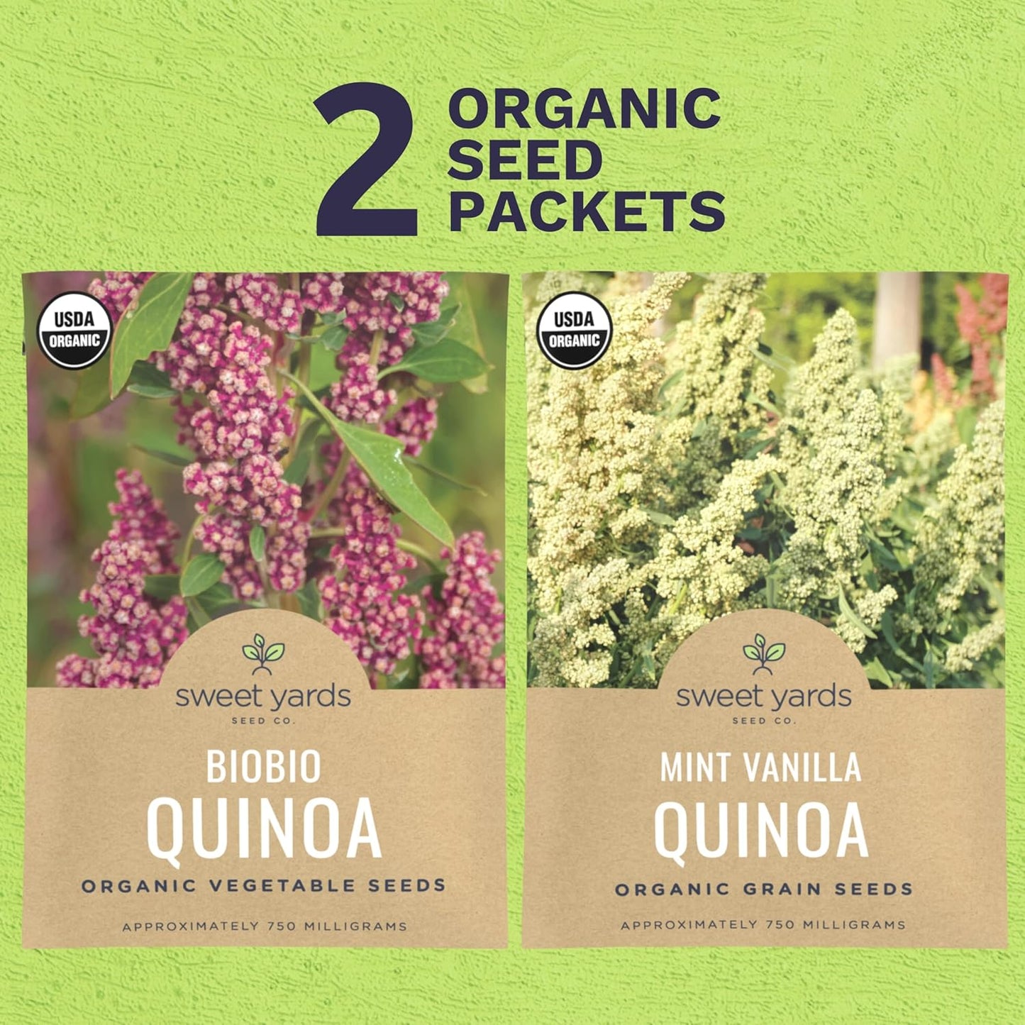 Organic Quinoa Seeds Home Garden Variety Pack - 2 Packets