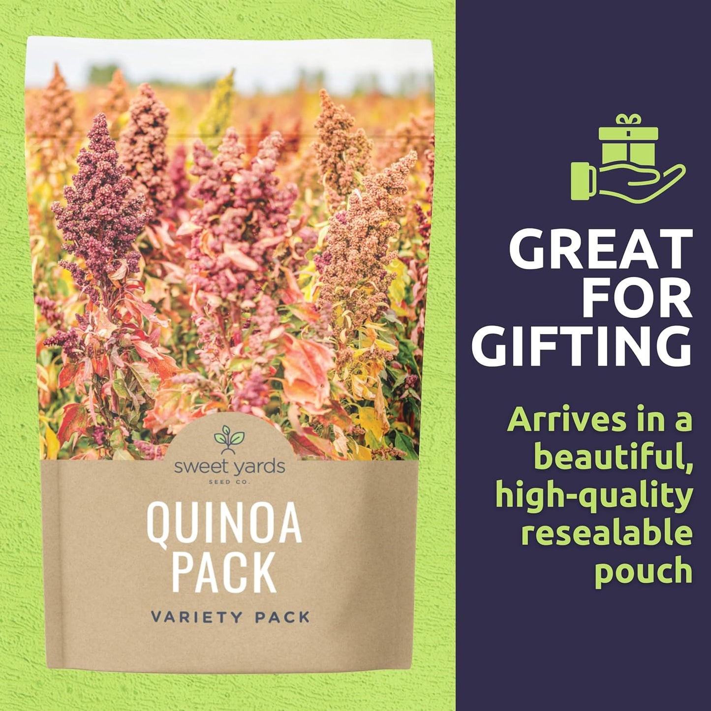 Organic Quinoa Seeds Home Garden Variety Pack - 2 Packets