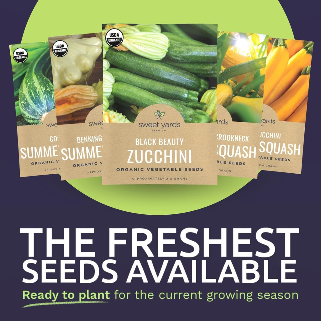 Organic Summer Squash Seeds Variety Pack - 5 Individual Packs