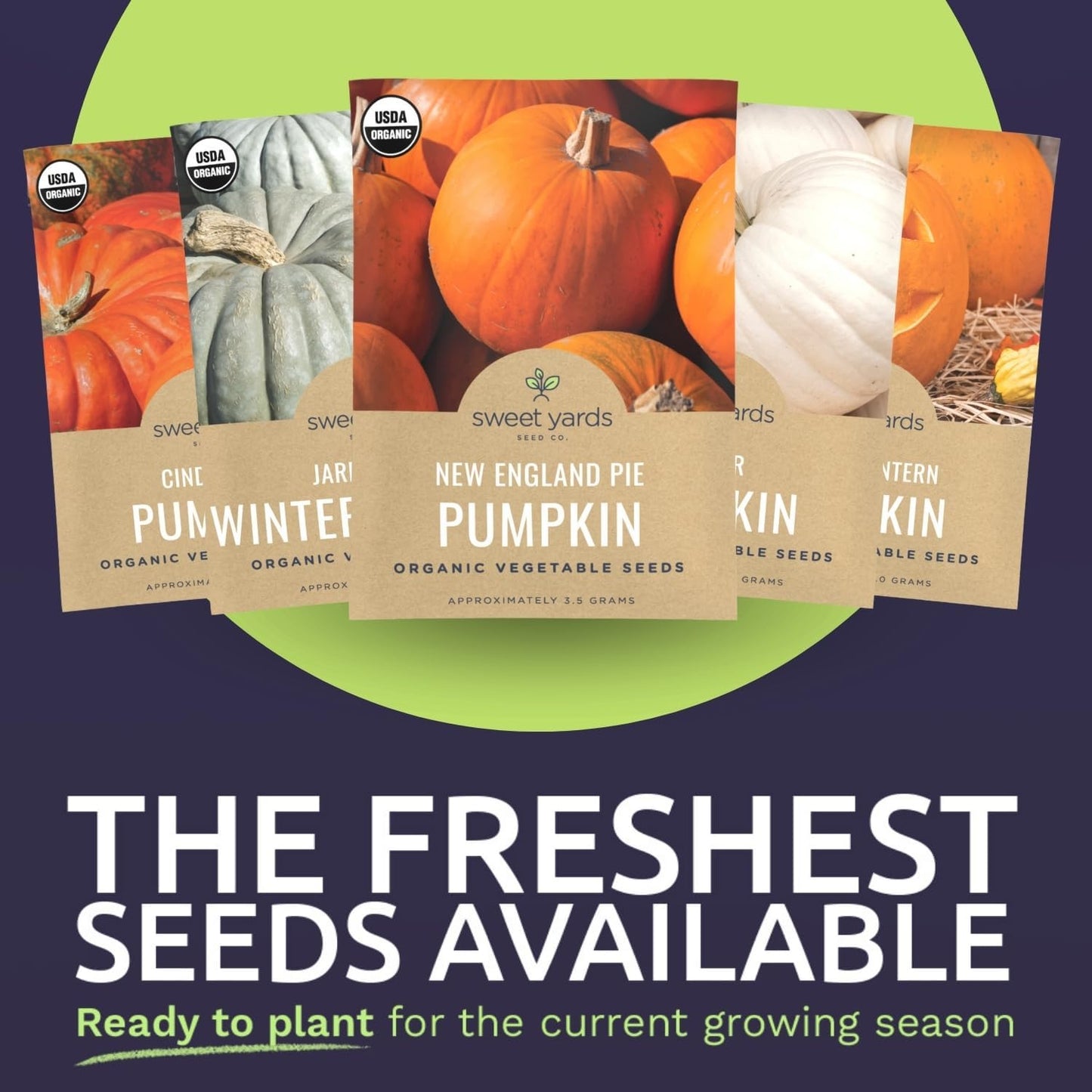 Organic Pumpkin Variety Pack - 6 Packets