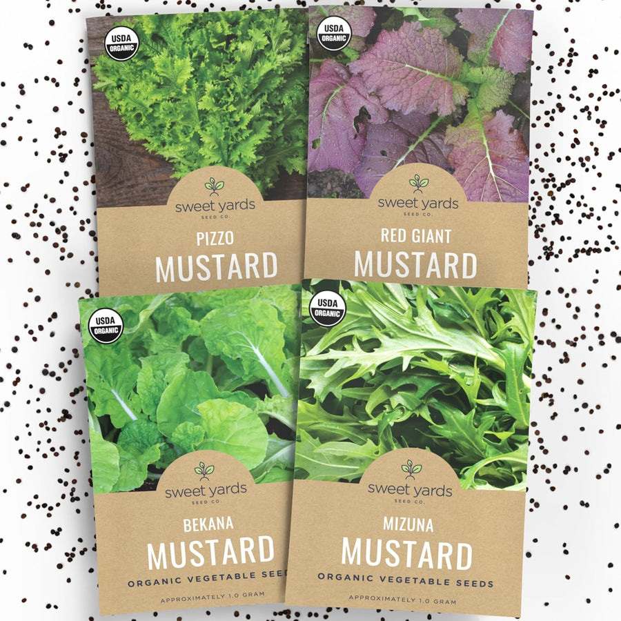 Organic Mustard Green Seeds Variety Pack - 4 Individual Packs