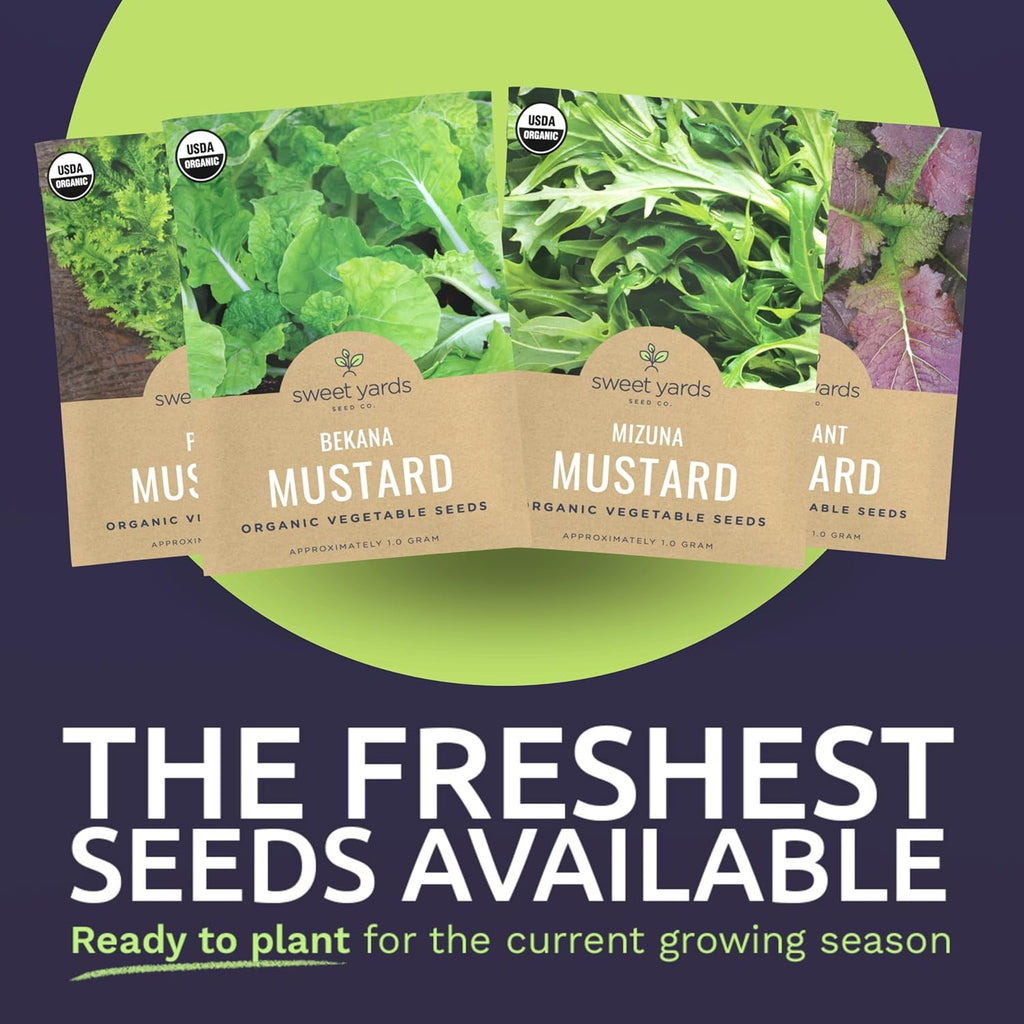 Organic Mustard Green Seeds Variety Pack - 4 Individual Packs