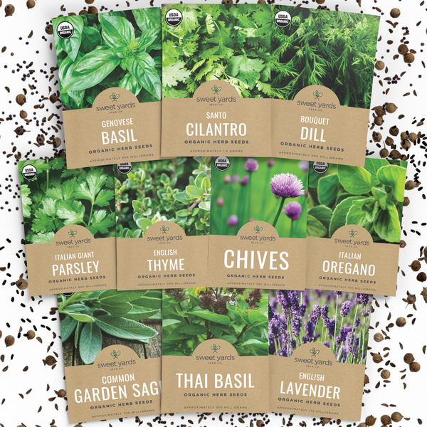 herbal seeds for planting Organic Herb Variety Pack