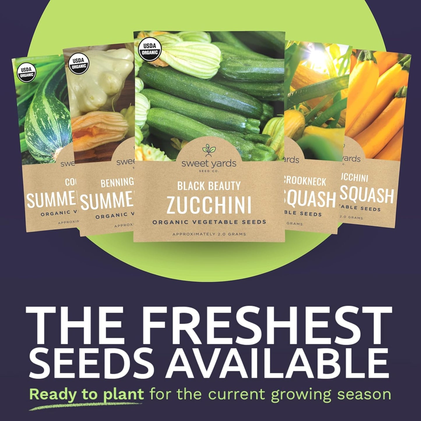 Organic Squash Seeds (Summer and Winter) Variety Pack - 10 Individual Packs
