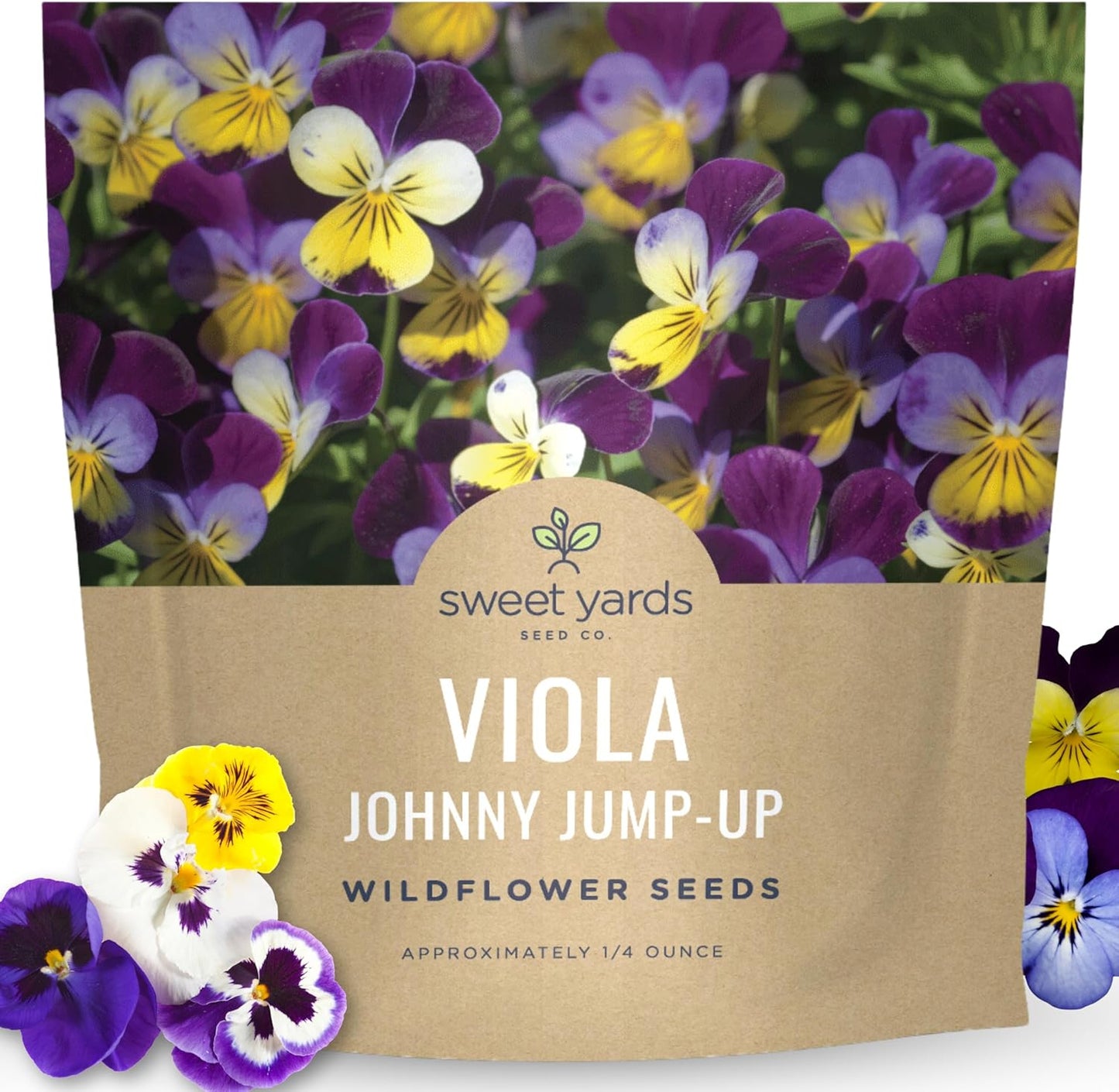 Viola - Johnny Jump-Up