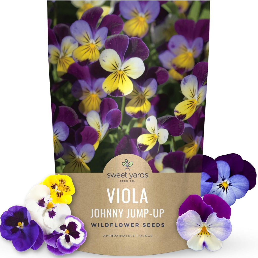 Viola - Johnny Jump-Up