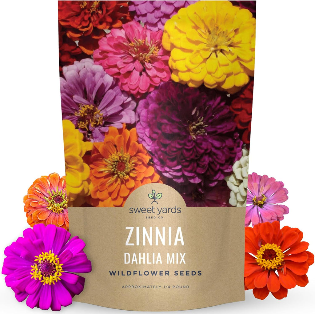 Zinnia Dahlia Mix