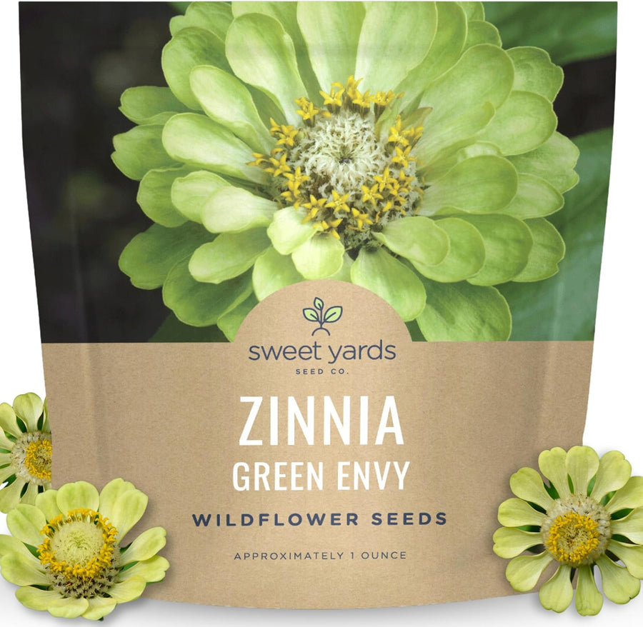 Zinnia Green Envy