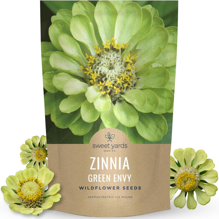 Zinnia Green Envy