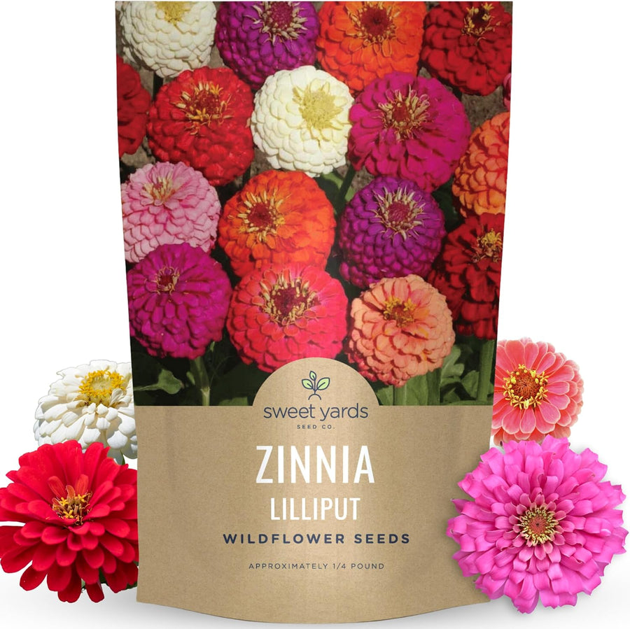Zinnia Lilliput Mix