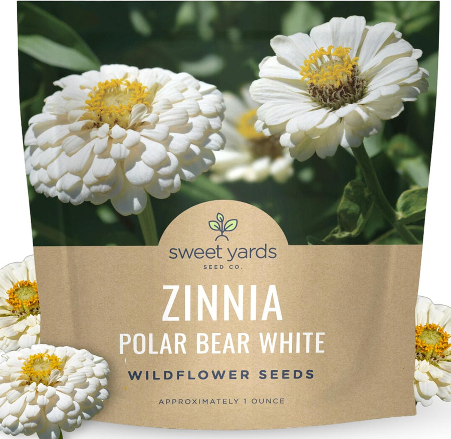 Zinnia Polar Bear White