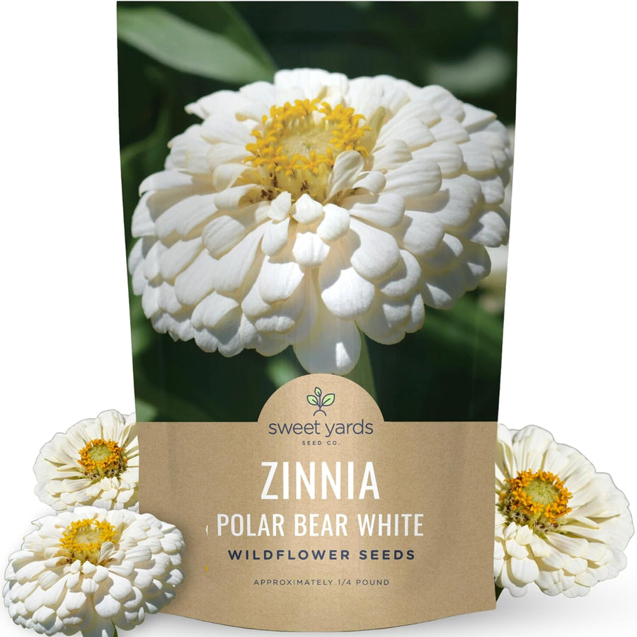Zinnia Polar Bear White